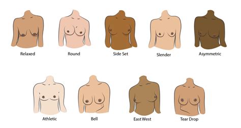 areolas|The 12 Different Breast Shapes and Types